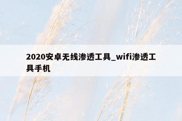 2020安卓无线渗透工具_wifi渗透工具手机