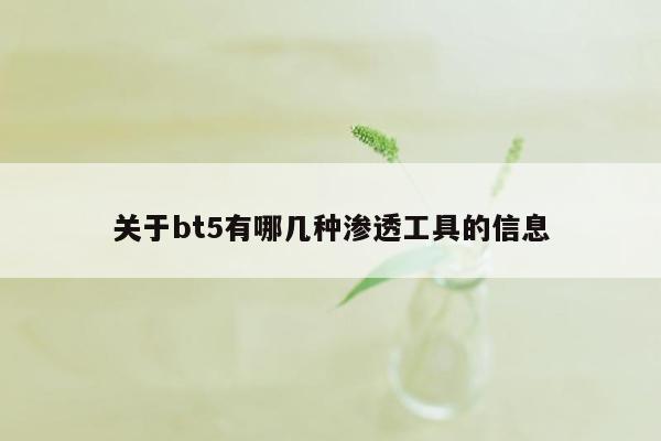 关于bt5有哪几种渗透工具的信息