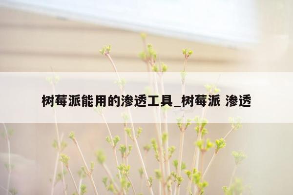 树莓派能用的渗透工具_树莓派 渗透