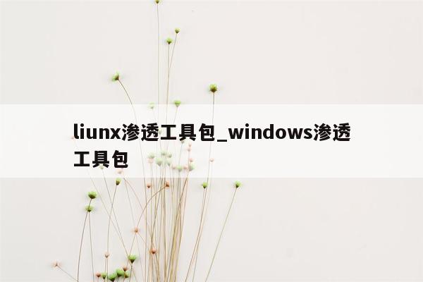 liunx渗透工具包_windows渗透工具包