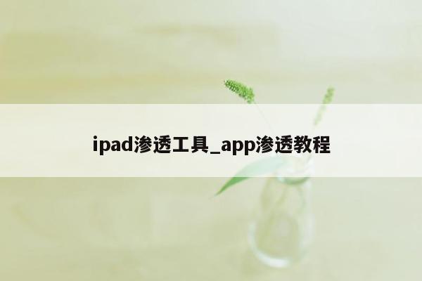 ipad渗透工具_app渗透教程