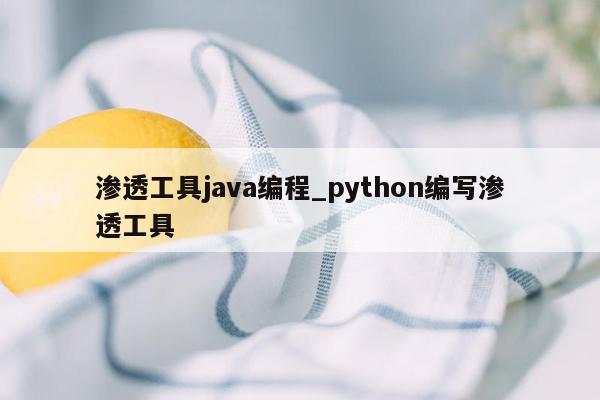 渗透工具java编程_python编写渗透工具