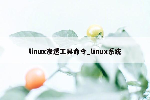 linux渗透工具命令_linux系统