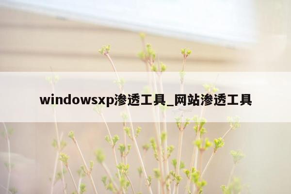 windowsxp渗透工具_网站渗透工具