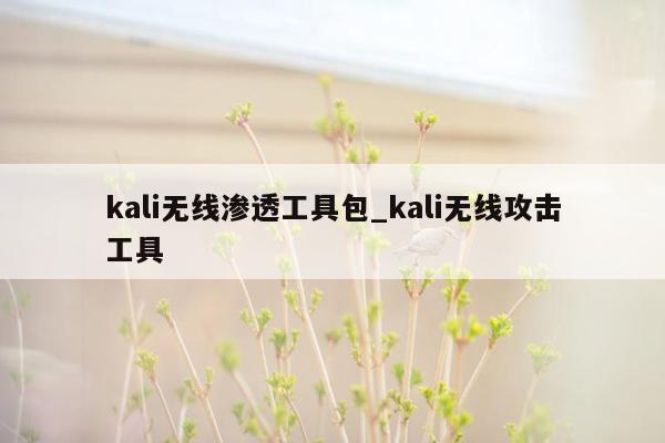 kali无线渗透工具包_kali无线攻击工具