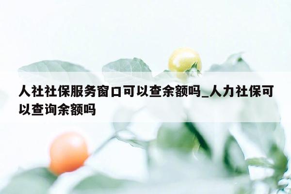 人社社保服务窗口可以查余额吗_人力社保可以查询余额吗