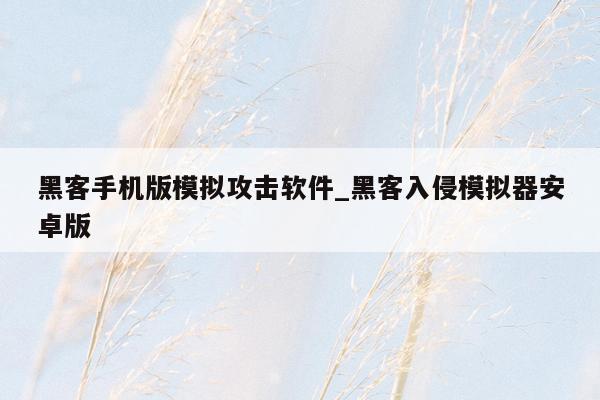 黑客手机版模拟攻击软件_黑客入侵模拟器安卓版