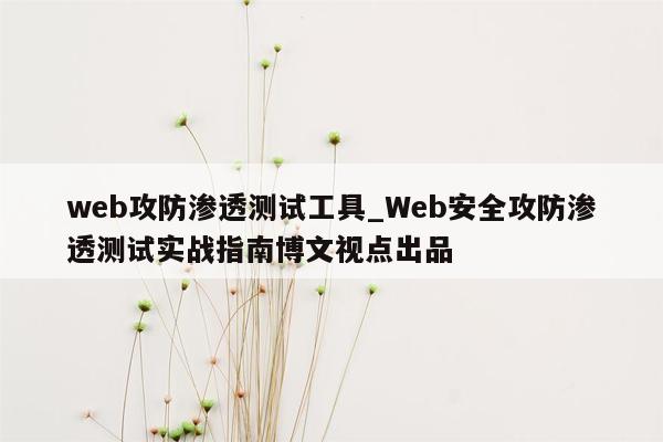 web攻防渗透测试工具_Web安全攻防渗透测试实战指南博文视点出品