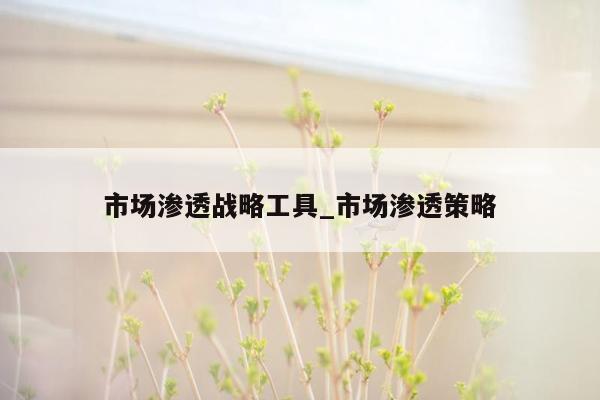 市场渗透战略工具_市场渗透策略