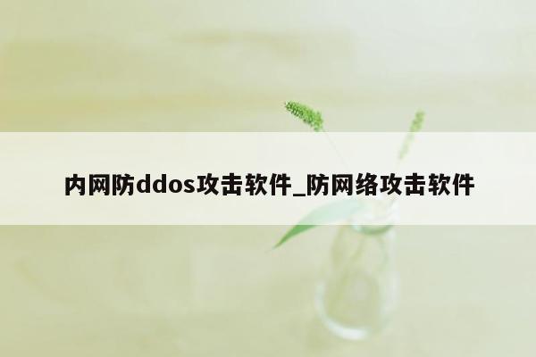 内网防ddos攻击软件_防网络攻击软件