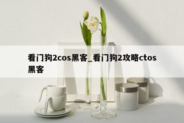 看门狗2cos黑客_看门狗2攻略ctos黑客