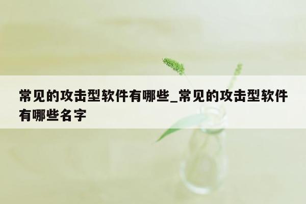 常见的攻击型软件有哪些_常见的攻击型软件有哪些名字