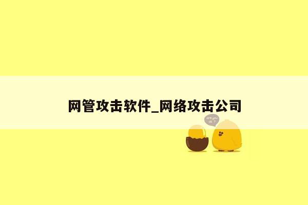 网管攻击软件_网络攻击公司