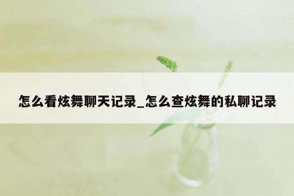 怎么看炫舞聊天记录_怎么查炫舞的私聊记录