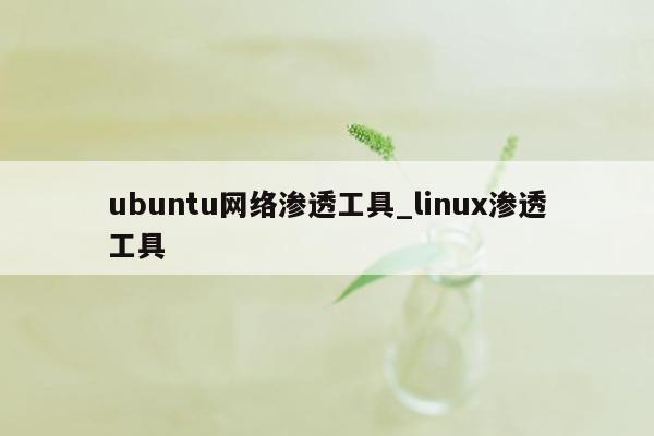 ubuntu网络渗透工具_linux渗透工具