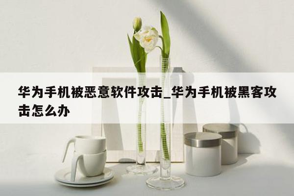 华为手机被恶意软件攻击_华为手机被黑客攻击怎么办