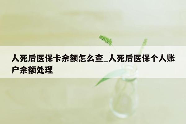 人死后医保卡余额怎么查_人死后医保个人账户余额处理