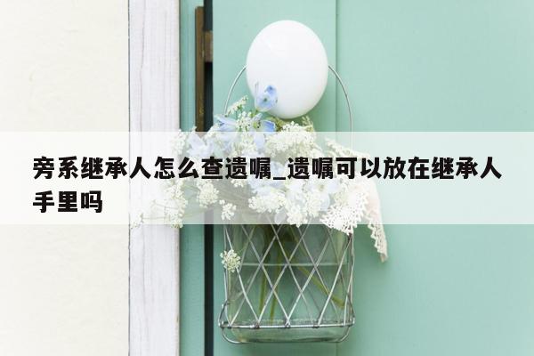 旁系继承人怎么查遗嘱_遗嘱可以放在继承人手里吗