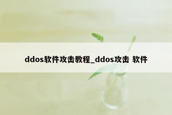 ddos软件攻击教程_ddos攻击 软件