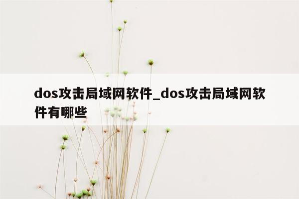 dos攻击局域网软件_dos攻击局域网软件有哪些