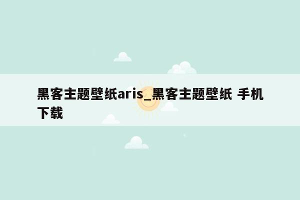 黑客主题壁纸aris_黑客主题壁纸 手机下载