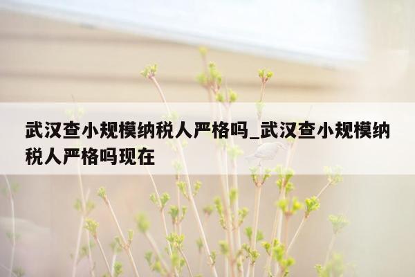 武汉查小规模纳税人严格吗_武汉查小规模纳税人严格吗现在