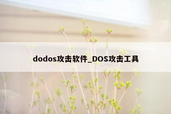 dodos攻击软件_DOS攻击工具