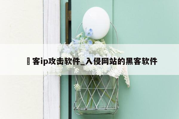 黒客ip攻击软件_入侵网站的黑客软件