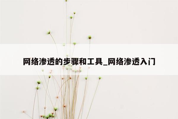 网络渗透的步骤和工具_网络渗透入门