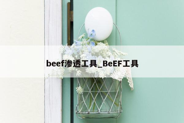 beef渗透工具_BeEF工具