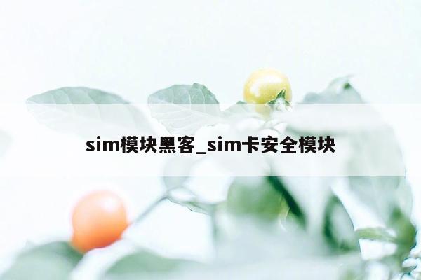 sim模块黑客_sim卡安全模块