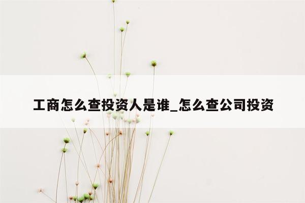 工商怎么查投资人是谁_怎么查公司投资