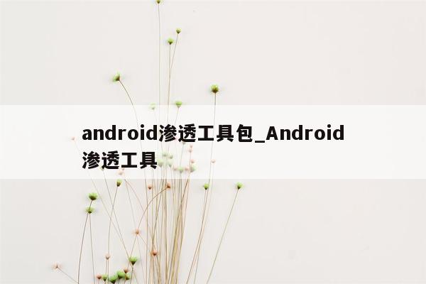 android渗透工具包_Android渗透工具