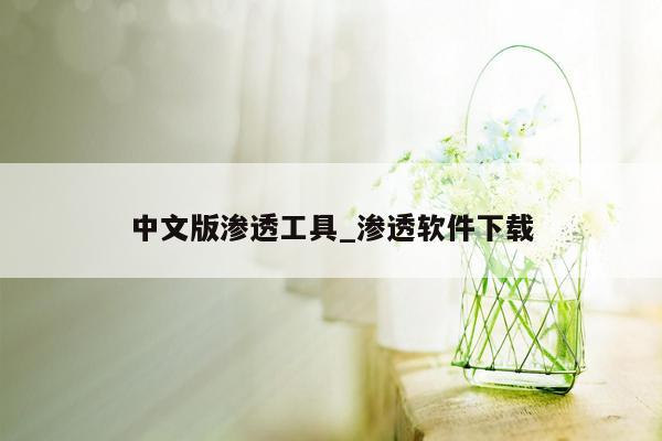 中文版渗透工具_渗透软件下载