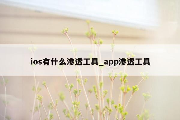 ios有什么渗透工具_app渗透工具