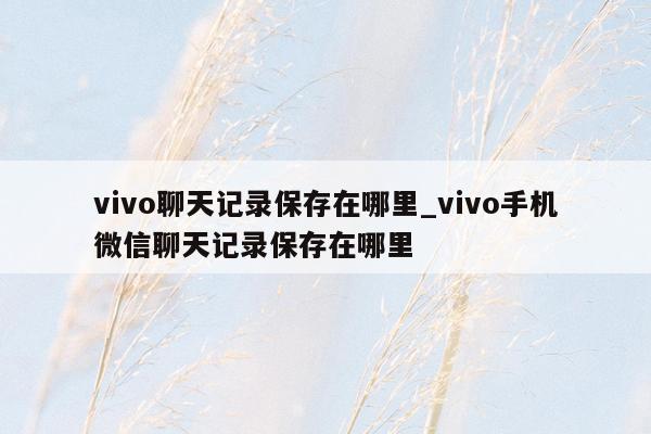 vivo聊天记录保存在哪里_vivo手机微信聊天记录保存在哪里