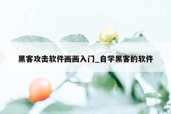 黑客攻击软件画画入门_自学黑客的软件