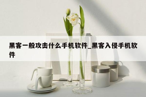 黑客一般攻击什么手机软件_黑客入侵手机软件