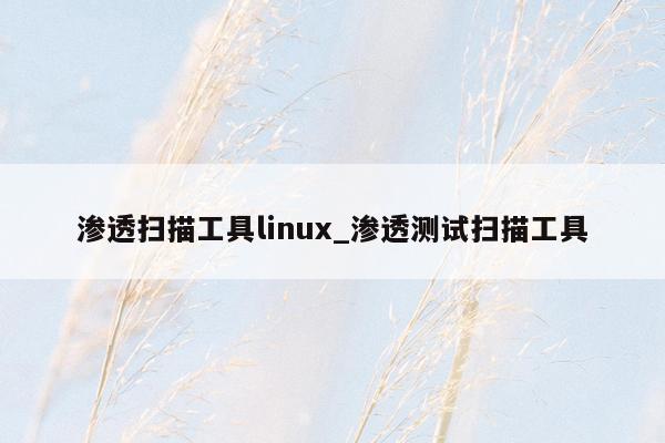 渗透扫描工具linux_渗透测试扫描工具