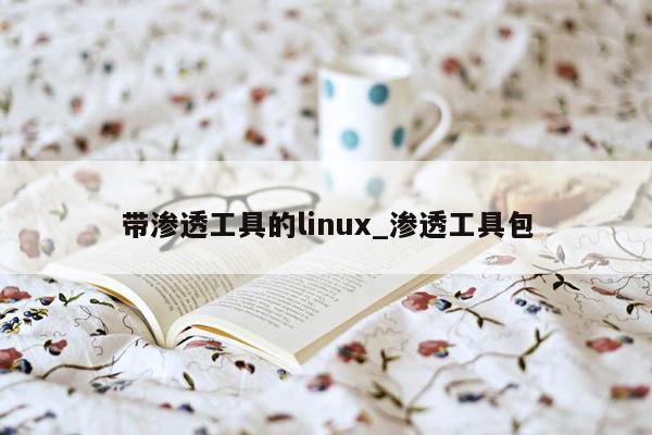 带渗透工具的linux_渗透工具包