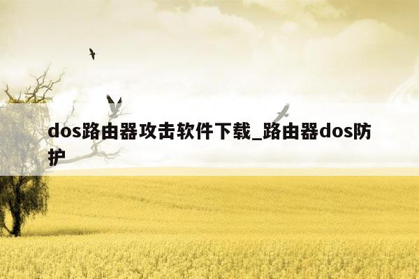 dos路由器攻击软件下载_路由器dos防护