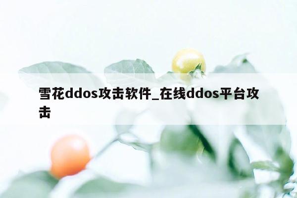 雪花ddos攻击软件_在线ddos平台攻击