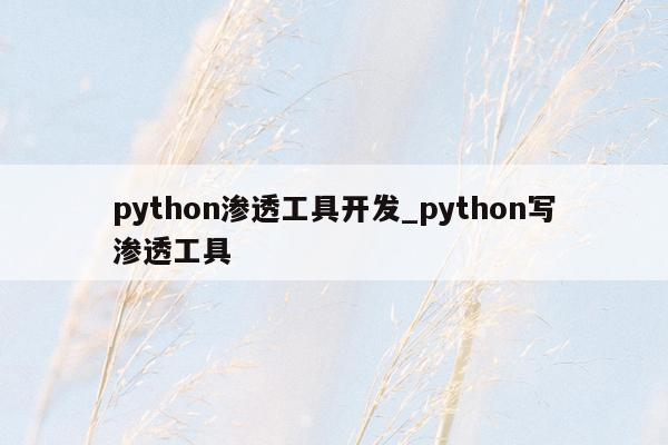 python渗透工具开发_python写渗透工具