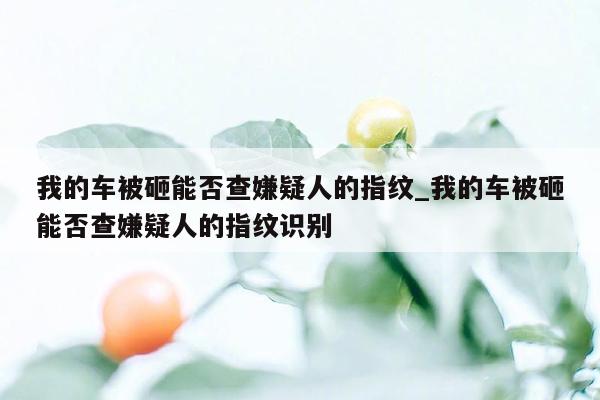 我的车被砸能否查嫌疑人的指纹_我的车被砸能否查嫌疑人的指纹识别