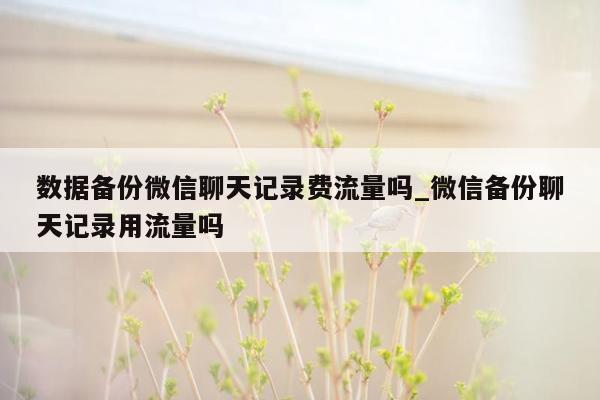 数据备份微信聊天记录费流量吗_微信备份聊天记录用流量吗