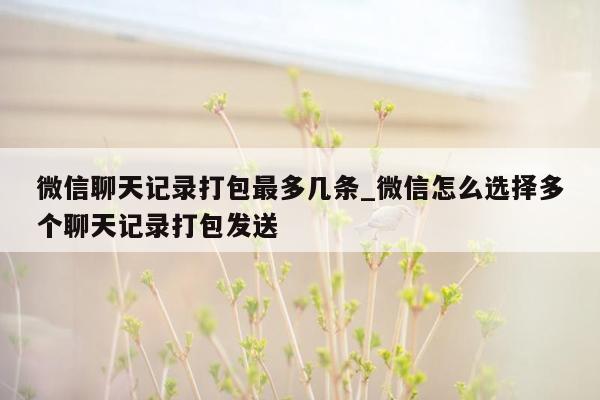 微信聊天记录打包最多几条_微信怎么选择多个聊天记录打包发送