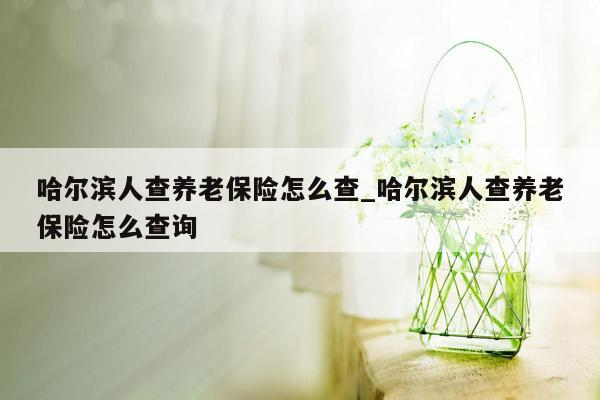 哈尔滨人查养老保险怎么查_哈尔滨人查养老保险怎么查询