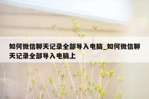 如何微信聊天记录全部导入电脑_如何微信聊天记录全部导入电脑上