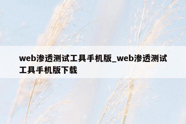 web渗透测试工具手机版_web渗透测试工具手机版下载