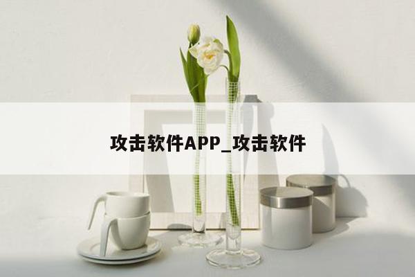 攻击软件APP_攻击软件